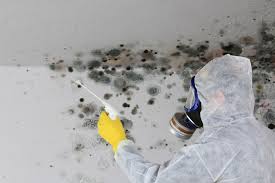 Best HVAC Mold Inspection and Cleaning  in Garrettsville, OH